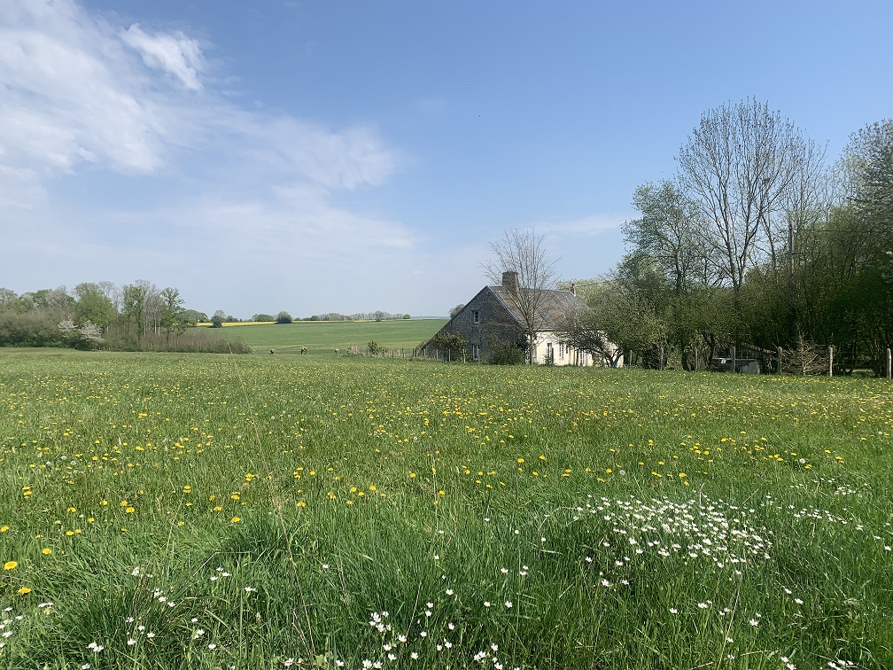 MAISON-VIVANTE-1