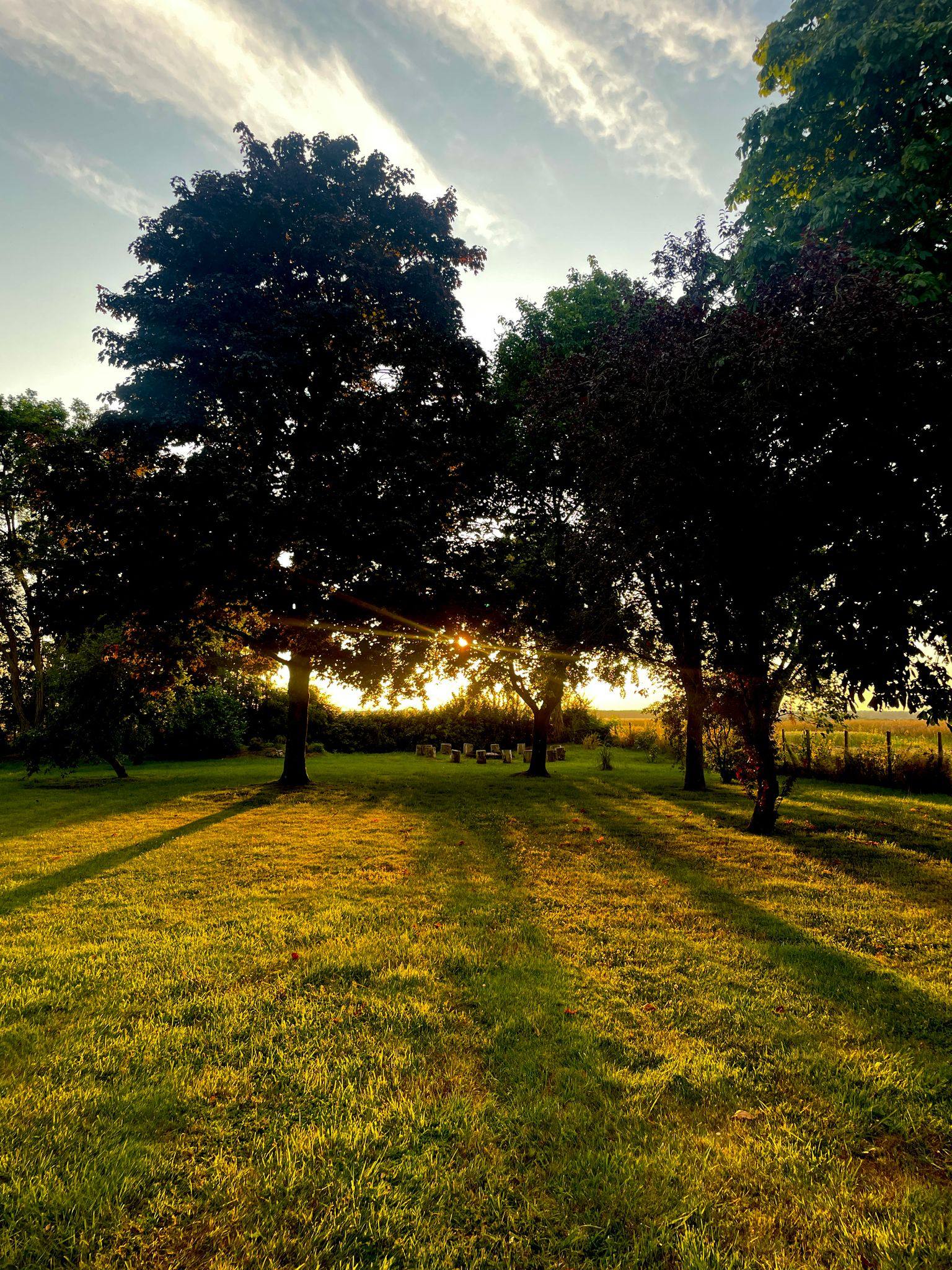 Digny_sunset 2